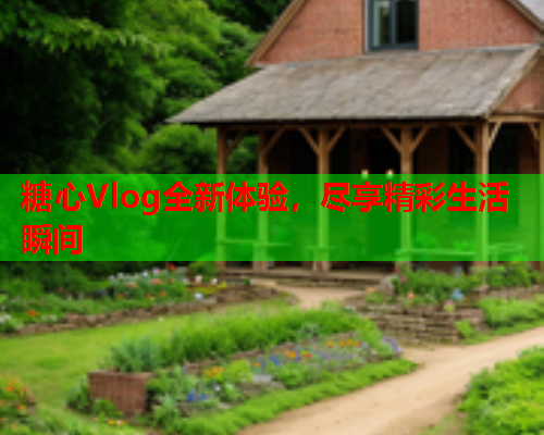 糖心Vlog全新体验，尽享精彩生活瞬间
