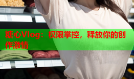 糖心Vlog：权限掌控，释放你的创作激情