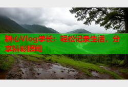 糖心Vlog学长：轻松记录生活，分享精彩瞬间