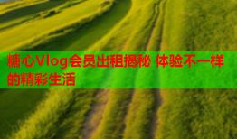 糖心Vlog会员出租揭秘 体验不一样的精彩生活