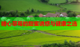 糖心草莓的甜蜜诱惑与健康之选