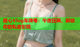 糖心Vlog车牌号：午夜狂飙，解锁你的私密影院