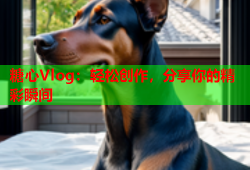 糖心Vlog：轻松创作，分享你的精彩瞬间