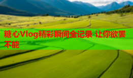 糖心Vlog精彩瞬间全记录 让你欲罢不能
