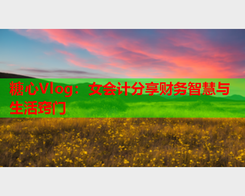 糖心Vlog：女会计分享财务智慧与生活窍门