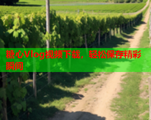 糖心Vlog视频下载，轻松保存精彩瞬间