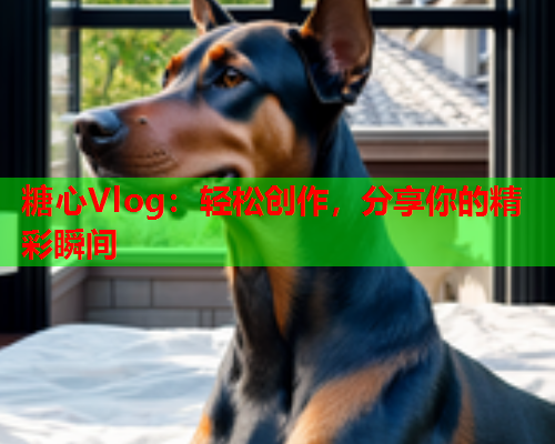 糖心Vlog：轻松创作，分享你的精彩瞬间