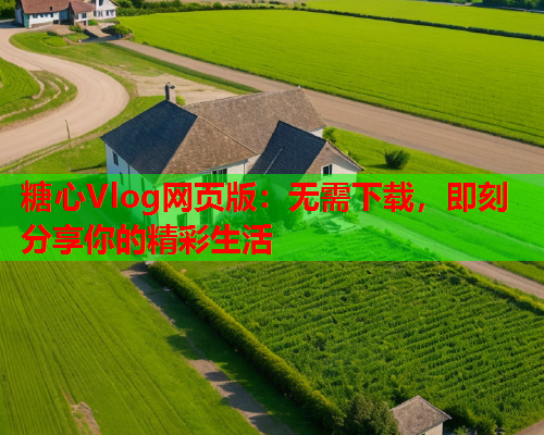 糖心Vlog网页版：无需下载，即刻分享你的精彩生活